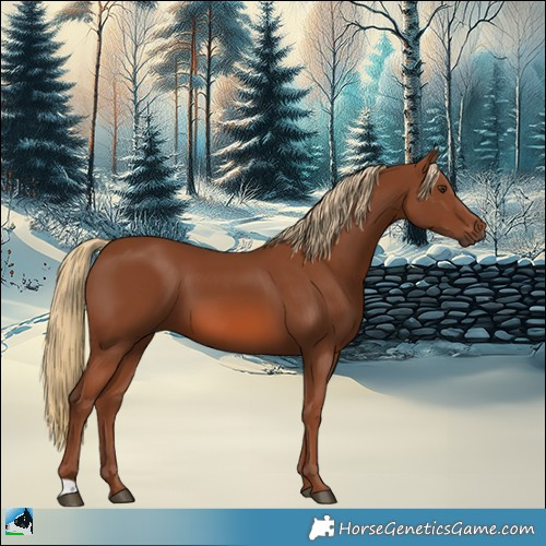 Horse Color:Chestnut 