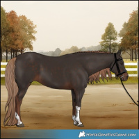 Horse Color:Liver Chestnut Tobiano 