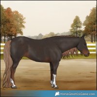 Horse Color:Liver Chestnut Tobiano 