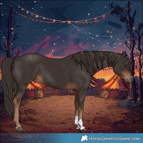 Horse Color:Liver Chestnut Tobiano 