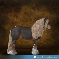 Horse Color:Liver Chestnut Tobiano 