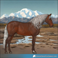 Horse Color:Silver Brown 