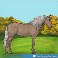 Horse Color:Silver Grullo 