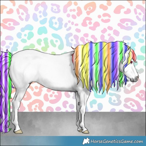 Horse Color:Painted Chestnut Chinchilla 