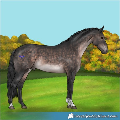Horse Color:Platinum Brown Tobiano Rabicano 