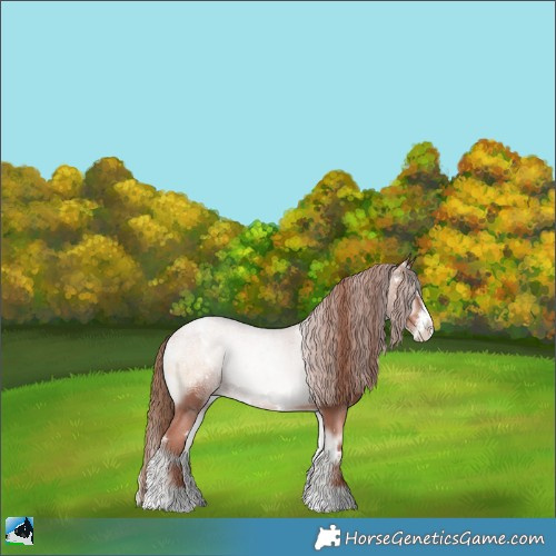 Horse Color:White Spotted Gold Champagne Ice Onyx Sabino Rabicano 