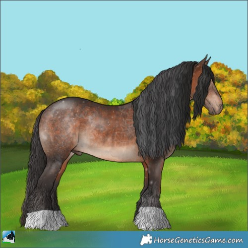 Horse Color:Brown Rabicano 