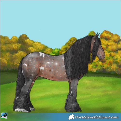 Horse Color:White Spotted Brown Rabicano 