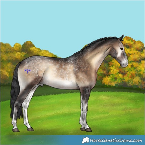 Horse Color:Brown Onyx Sabino 