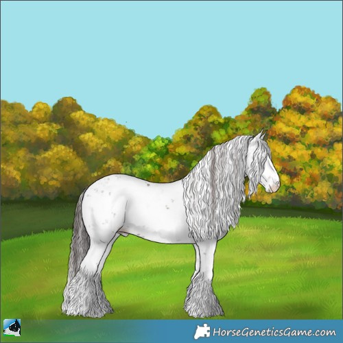 Horse Color:Classic Champagne Ice Onyx Sabino Rabicano 