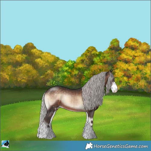Horse Color:Silver Brown Onyx Mushroom Sabino Rabicano 