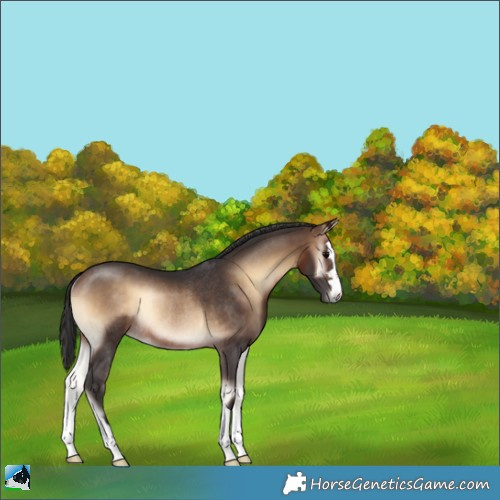 Horse Color:Brown Onyx Rabicano 