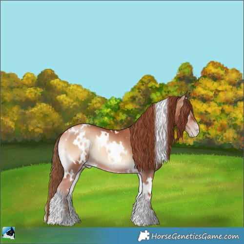 Horse Color:White Spotted Gold Champagne Onyx Rabicano 