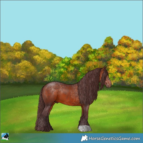 Horse Color:Chocolate Brown 