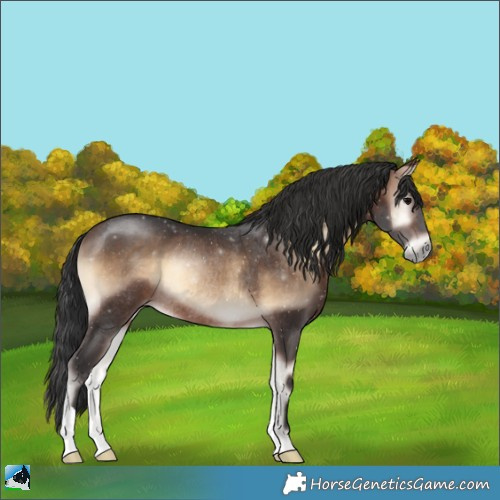Horse Color:Brown Onyx Rabicano 