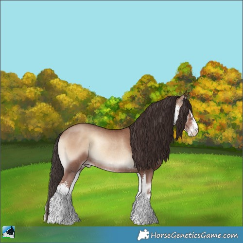 Horse Color:Classic Champagne Onyx Sabino Rabicano 