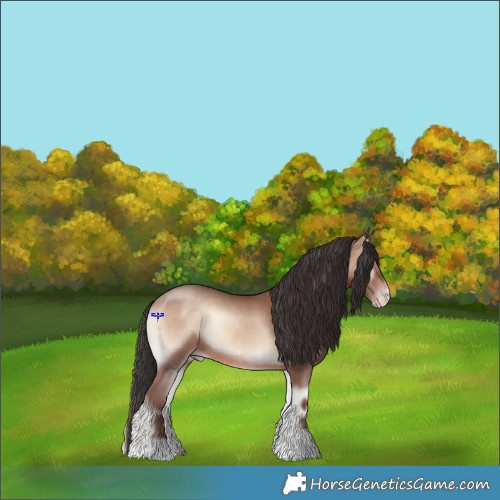 Horse Color:Sable Champagne Onyx Sabino Rabicano 
