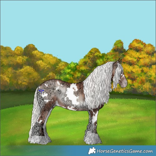 Horse Color:White Spotted Gold Champagne Ice Onyx Mushroom Rabicano 