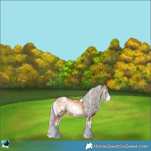 Horse Color:White Spotted Silver Sable Champagne Onyx Sabino Rabicano 