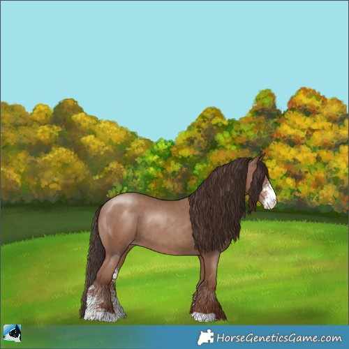 Horse Color:Classic Champagne Sabino Rabicano 