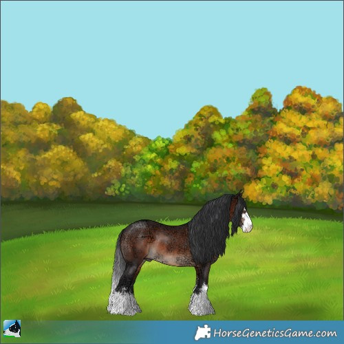 Horse Color:Brown Ice Sabino Rabicano 