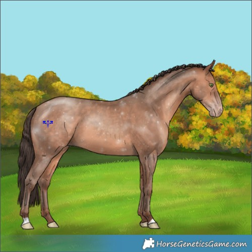 Horse Color:Amber Champagne 