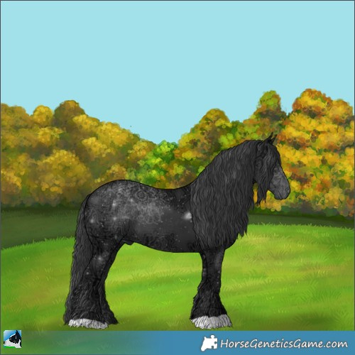 Horse Color:Black Ice 