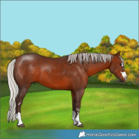 Horse Color:Silver Brown 