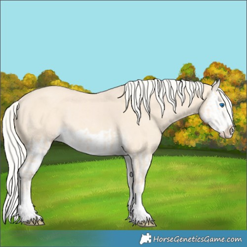 Horse Color:Cremello Splash and Cremello Splash