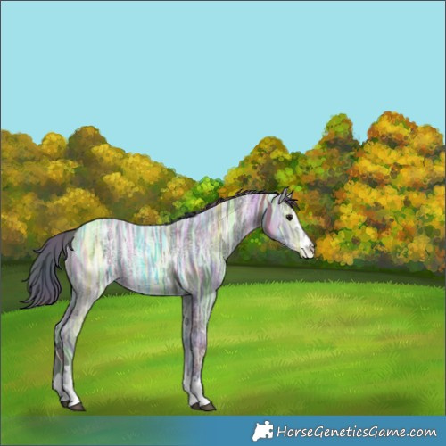Horse Color:Nacre Smoky Black Ice Rabicano 