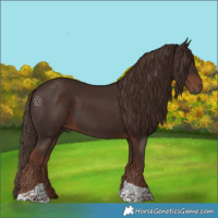 Horse Color:Liver Chestnut Tobiano 