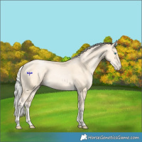 Horse Color:Silver Buckskin Pearl 