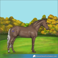 Horse Color:Silver Black 