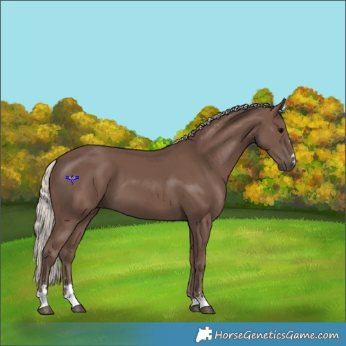 Horse Color:Silver Black 
