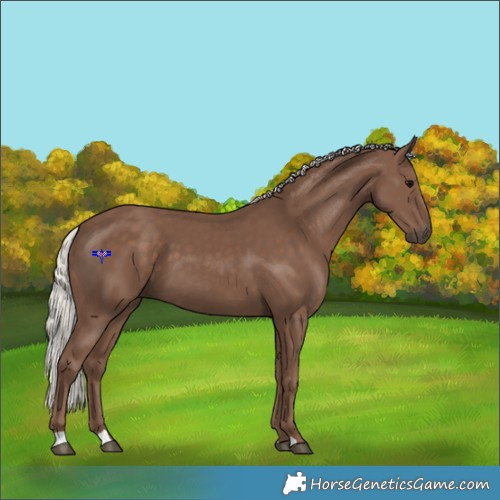 Horse Color:Silver Black 