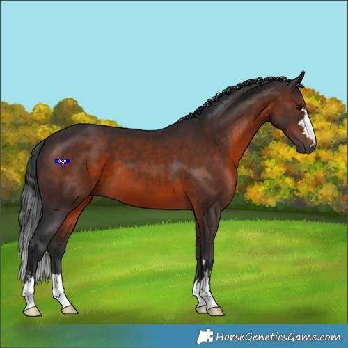 Horse Color:Brown 