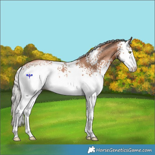 Horse Color:White Spotted Silver Brown Pearl 