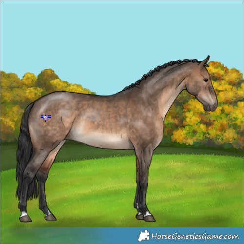 Horse Color:Brown Dun Rabicano 
