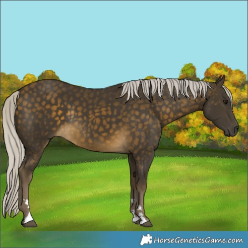 Horse Color:Silver Buckskin Rabicano