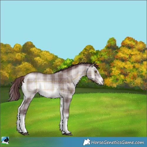 Horse Color:Plaid Chocolate Brown Chinchilla Onyx Sabino Tobiano Rabicano