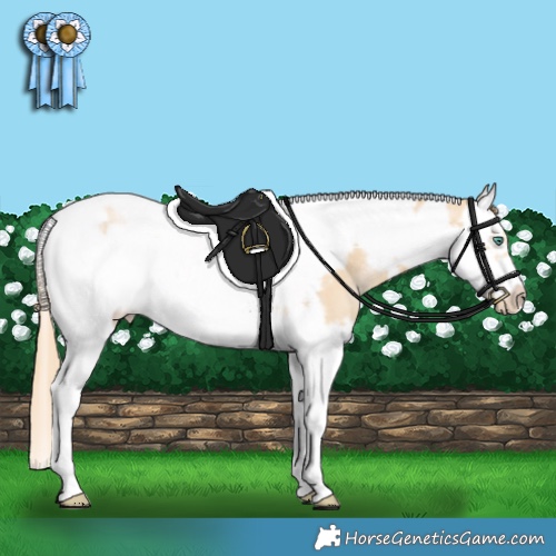 Horse Color:Smoky Black Pearl Splash Tobiano Frame 