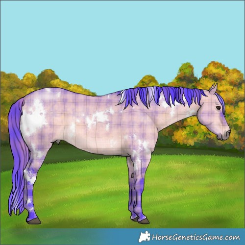 Horse Color:Watercolor Plaid  White Spotted Chocolate Bay Dun 