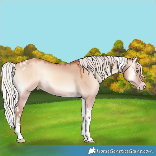 Horse Color:Chocolate Silver Amber Champagne Onyx Tobiano