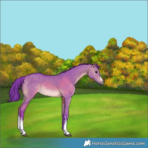 Horse Color:Platinum Watercolor White Spotted Chocolate Brown Dun 