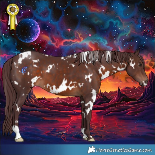 Horse Color:White Spotted Chocolate Brown 
