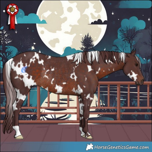 Horse Color:White Spotted Chocolate Brown Rabicano 