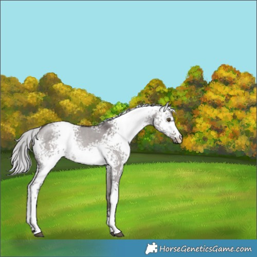 Horse Color:Platinum White Spotted Silver Brown Dun 
