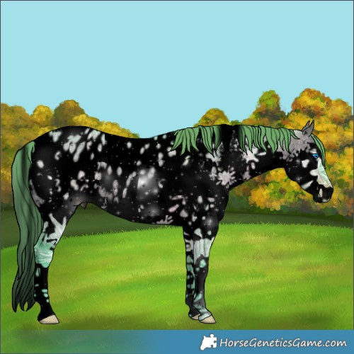 Horse Color:Void Watercolor White Spotted Brown Ice Dun Splash Appaloosa Rabicano