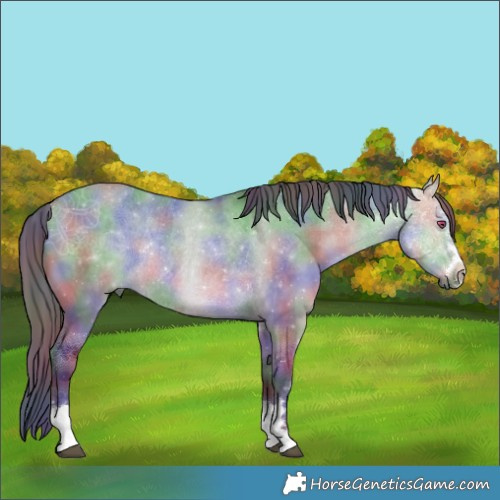 Horse Color:Nacre Buckskin Chinchilla Dun Rabicano