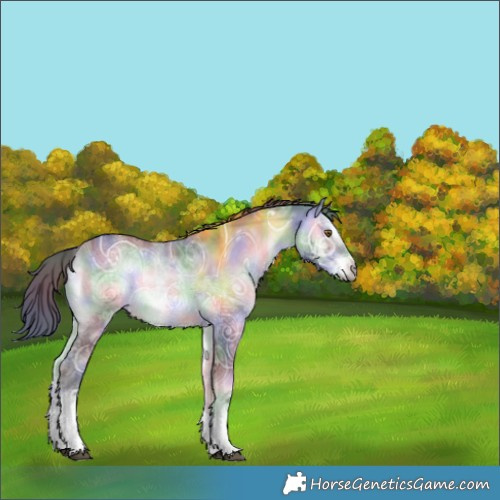 Horse Color:Nacre White Spotted Brown Chinchilla Ice Onyx Rabicano 